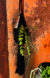Suspente macramé – Image 7